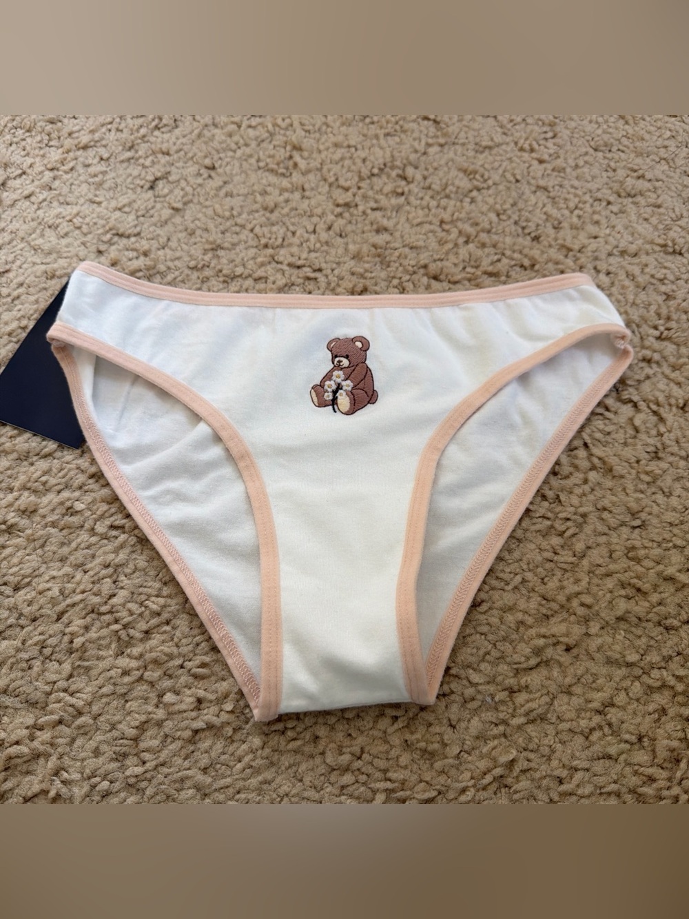 Brandy melville teddy bear underwear